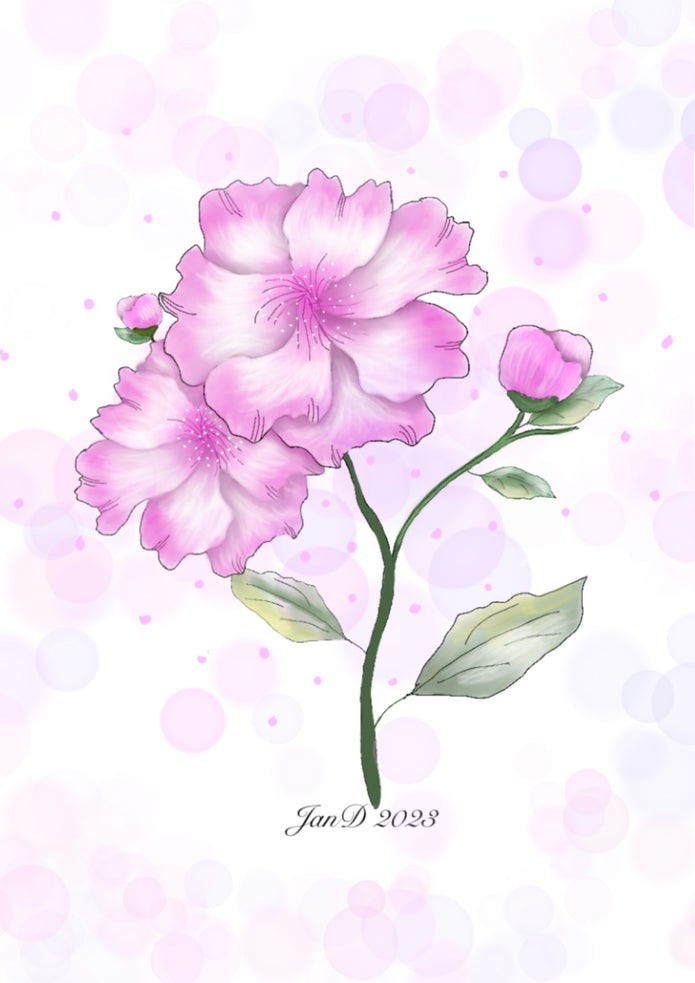 Dreamy Digital Artwork Pink Flowers A5